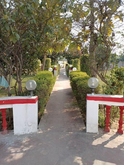 فيلا Achal Farm जंगल में मंगल غورغاون المظهر الخارجي الصورة